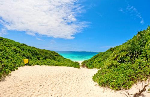 Nanseien House | 猫のいる宿Happy Island Miyako-CatFriendlyGuesthouse