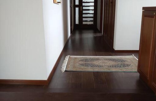 Suginami Villa | 眺めのいい一軒家