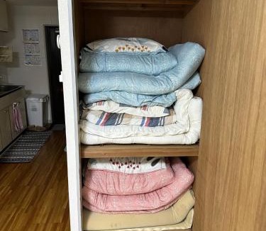 Kagoshima Apartment | 短期賃貸ビッグバーンズマンション田上
