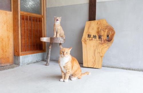 Minamiawaji House | 草地家 猫と図書館のある宿