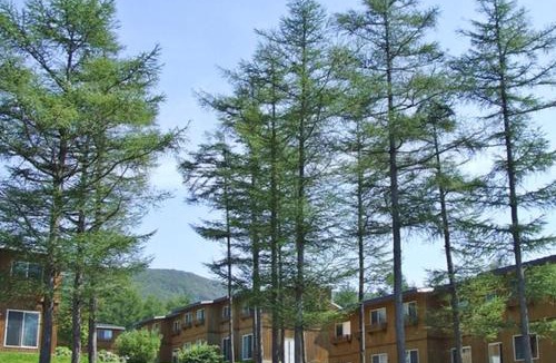 Kaminoyama Cabin | 蔵王ライザウッディロッジ