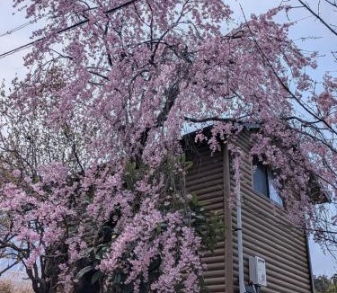 Awaji House | 遊泊淡路島