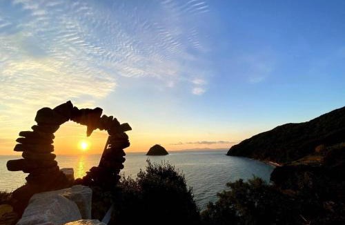 Shodoshima House | 1棟貸し tbtランド 定員最大12名