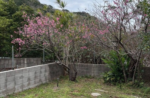 Imadomari House | 1 A private room in Nakijin Village just a 16mi/Kunigami District Okinawa