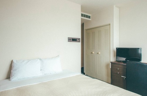 Toyohashi Hotel | 11 m² Hotel ∙ 1 bedroom ∙ 2 guests
