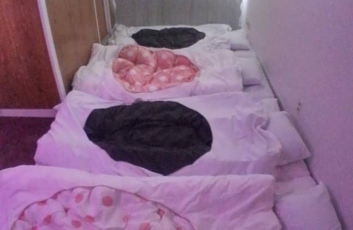 Nishinomaru Cho Hotel | 12 m² Hotel ∙ 1 bedroom ∙ 3 guests