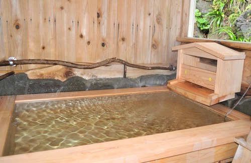 Higashiizu Hotel | 12 m² Hotel ∙ 1 bedroom ∙ 4 guests