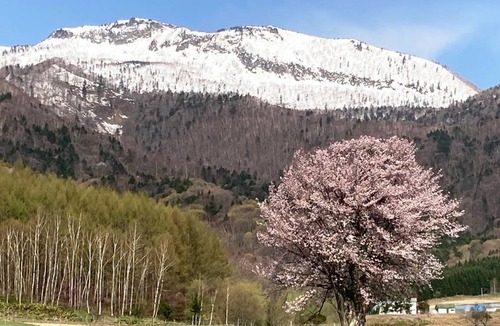 Furano Hotel | 14 m² Hotel ∙ 1 bedroom ∙ 2 guests