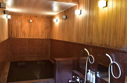 Yuzawa Hotel | 20 m² Hotel ∙ 1 bedroom ∙ 4 guests