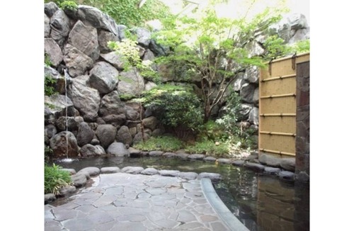 Yudaonsen Hotel | 34 m² Hotel ∙ 1 bedroom ∙ 3 guests
