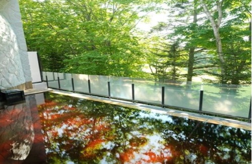 Kitahiroshima Hotel | 36 m² Hotel ∙ 1 bedroom ∙ 2 guests