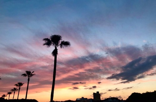 Shirahama Hotel | 40 m² Hotel ∙ 1 bedroom ∙ 4 guests