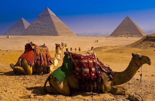 New Cairo Apartment | A Home Away from Home