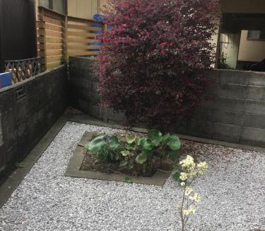 Miyazaki Bed & Breakfast | Accommodation Service B&B