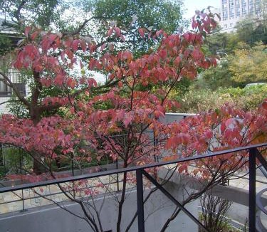 Suita Bed & Breakfast | AH87 Osaka