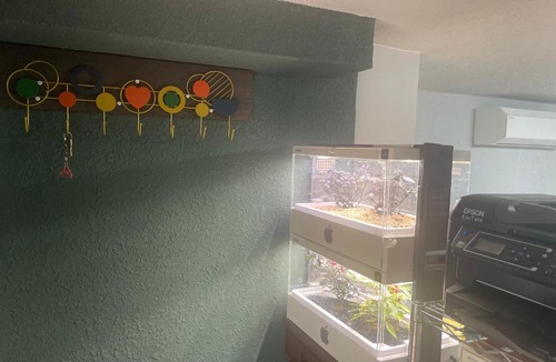 Suginami Apartment | Aila apartment