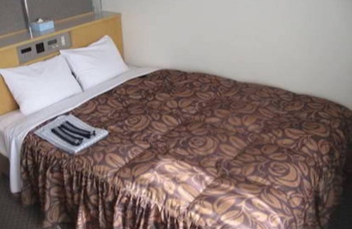 Akashi Hotel | Akashi Castle Hotel