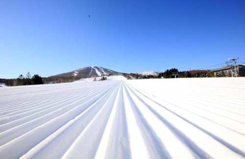 Appi Onsen Hotel | APPI Pension Aara-Wakka