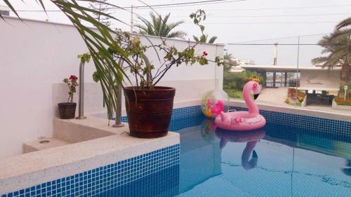 Santa Maria del Mar Apartment | Aqua y Sol Private Pool Parking Air Conditioning