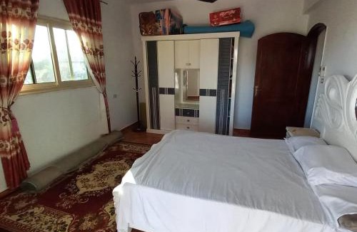 Luxor House | Banana Guest House