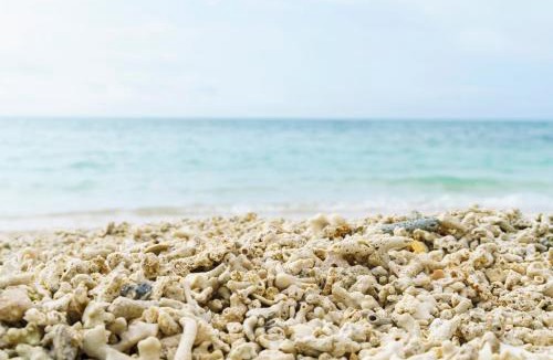 Shimajiri District Apartment | Bears Stay Kumejima Eef Beach