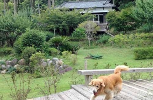 Kawazu Hotel | Bettei COCORO VS | Room only VS/Kamogun Shizuoka