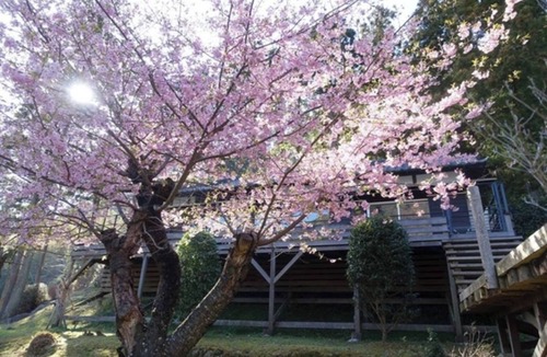 Kawazu Hotel | Bettei COCORO VS | Room only VS/Kamogun Shizuoka