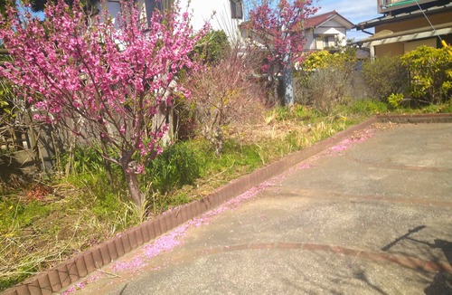 Hojo House | Bettei Tateyama