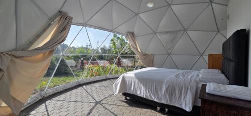 San Vicente de Canete Other | Biosol Ecocamp