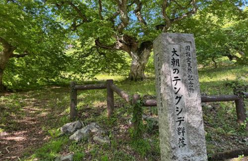 Kita Hiroshima Hotel | Blue Art Satoyama Retreat