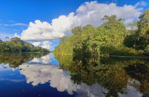 Indiana Hostel | Bromelia View Lodge