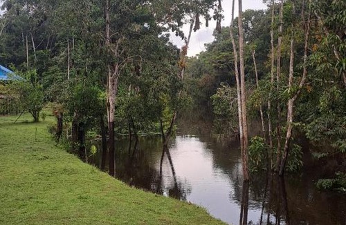 Indiana Hostel | Bromelia View Lodge