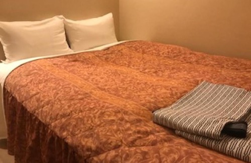 Ichihara Hotel | Business Hotel Goi Hills