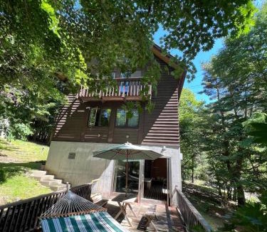 Fujikawaguchiko House | Cabin E Jacuzzi BBQ Hammock Lake Saiko Mt Fuji