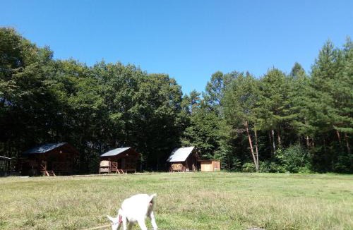 Fukushima Other | Camping field Kisokodo
