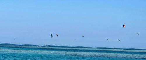 Al Ahyaa Apartment | Captain beach Resort