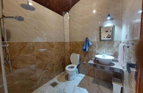 Luxor Apartment | Carter Guesthouse Luxor 4