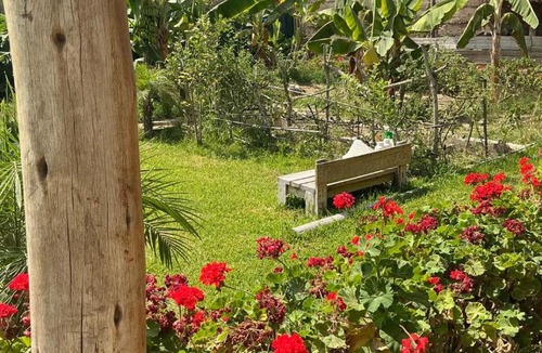 El Carmen House | Casa de Campo con Piscina Privada y Zona de Parrilla