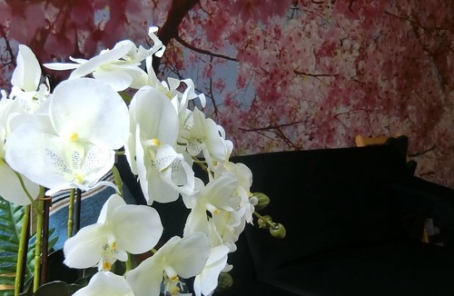 Shijo Apartment | Cherry blossom room / Kyoto Kyōto