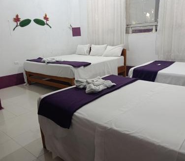 Puerto Maldonado Bed & Breakfast | Chimicuas House