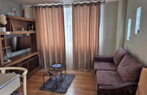 Los Olivos Apartment | Confortable APT-Estudio con WIFI,Neflix y PKG Gratis