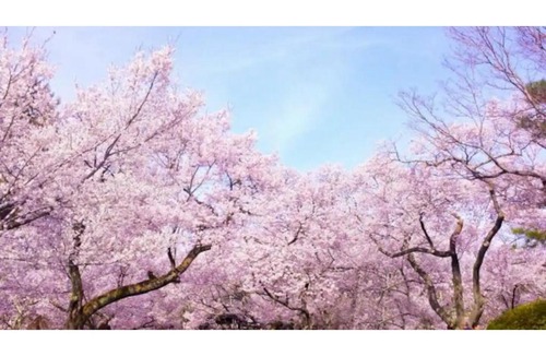 Hakodate Apartment | Corpo Marika 0 - Vacation STAY 43292v
