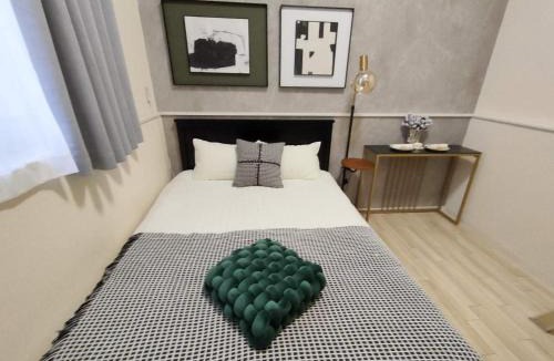 Okubo Apartment | D新宿最中心 两室 新大久保站5分-2 rooms Shinjuku center 5 mins to ST Max 4P 新宿 涉谷 表参道 池袋 上野 代代木 银座 原宿