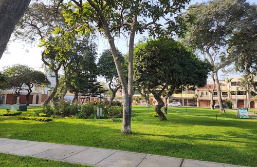 San Borja Apartment | Delightful 3-bedroom apartment in San Borja, private, cozy and peaceful.