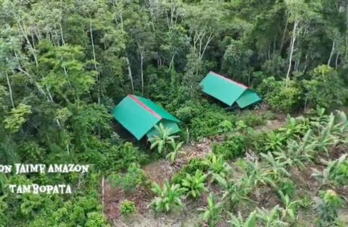 Tambopata Cabin | Don Jaime Amazon Lodge-Tambopata