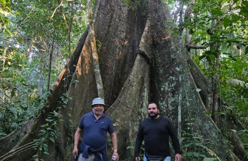 Tambopata Cabin | Don Jaime Amazon Lodge-Tambopata