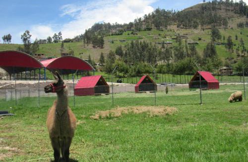 Cajamarca Hotel | Edén del Aliso