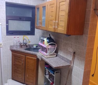 Al-Hammam Apartment | قرية نيس 4