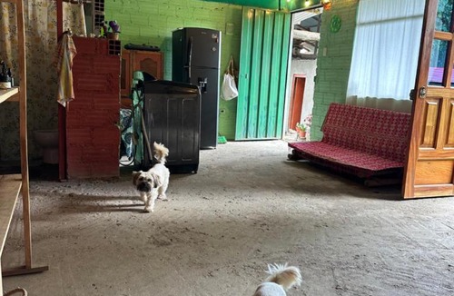 Cuispes Bed & Breakfast | El hada de Yumbilla