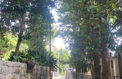 Asa House | Entire House Rental 180yearold Ryukyuan Tradit/Shimajiri District Okinawa